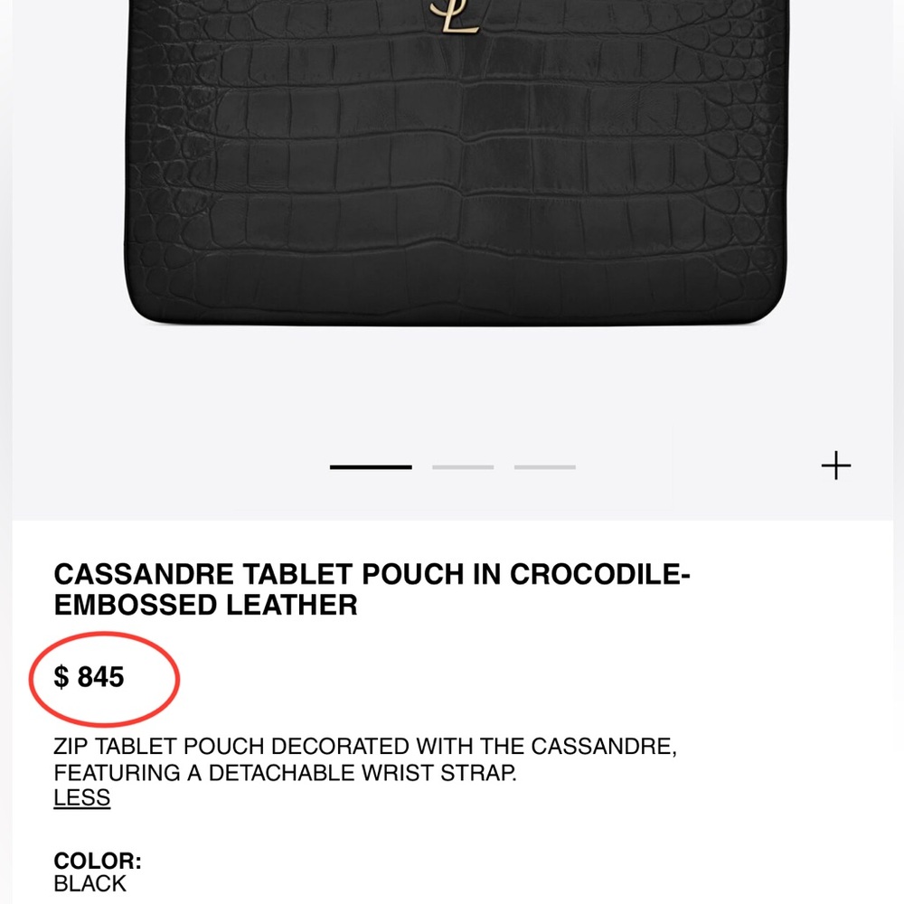 YSL Pouch - Picture 10 of 10